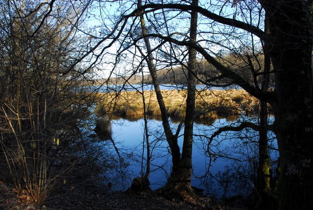 2009 Crapaudrome de Guiperreux 18